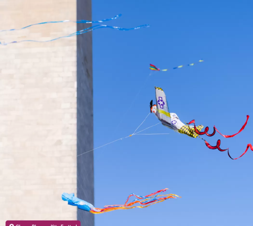Cherry Blossom Kite Festival